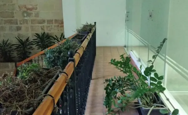 Office to let Malta: Green St.Julians 600sqm Office for Rent in Spinola Bay