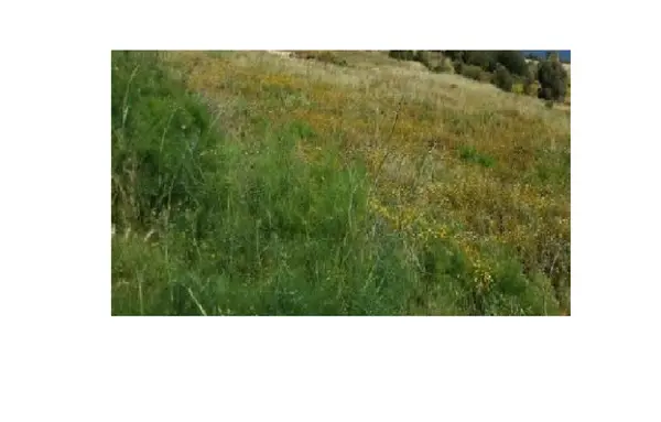 Malta real estate: 3 Tumoli for sale with views