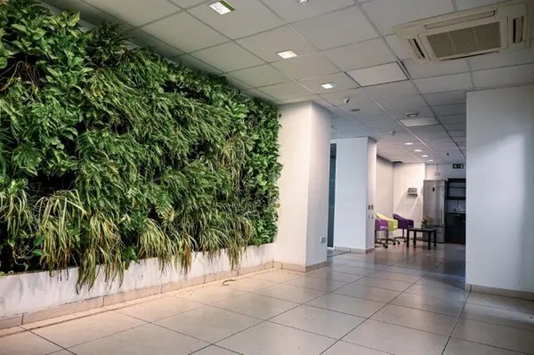 Prime 475 sqm Workspace in Sliema